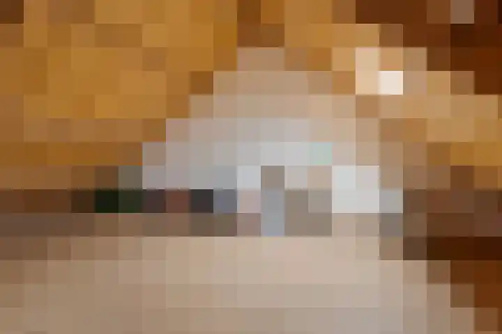 Zwarte Graaf 38 Doenrade thumbnail 32