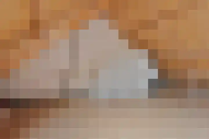 Zwarte Graaf 38 Doenrade thumbnail 33