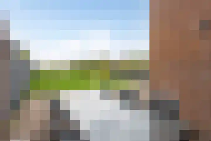 Zwarte Graaf 38 Doenrade thumbnail 36