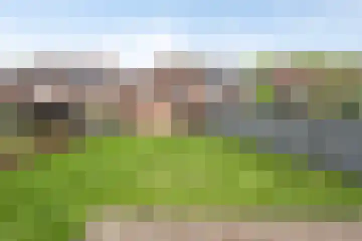 Zwarte Graaf 38 Doenrade thumbnail 37