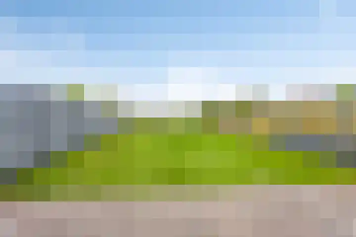 Zwarte Graaf 38 Doenrade thumbnail 38
