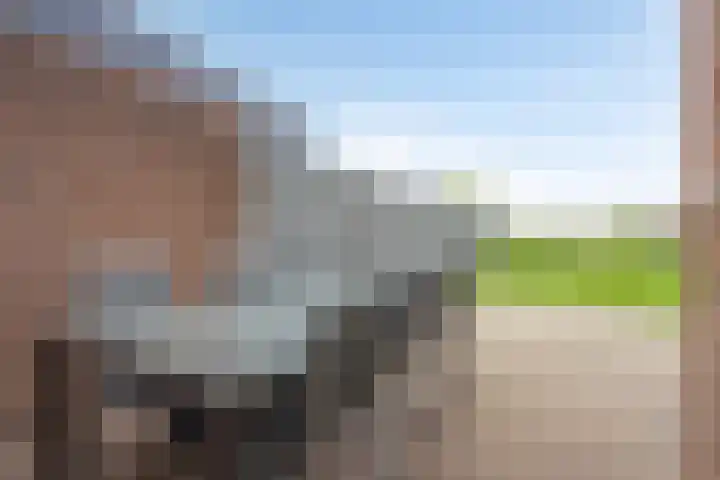 Zwarte Graaf 38 Doenrade thumbnail 39