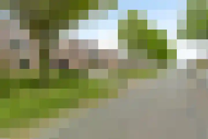Zwarte Graaf 38 Doenrade thumbnail 4