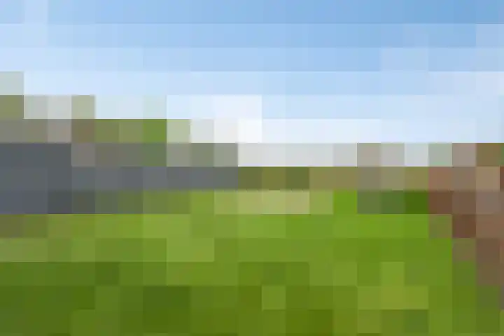 Zwarte Graaf 38 Doenrade thumbnail 41