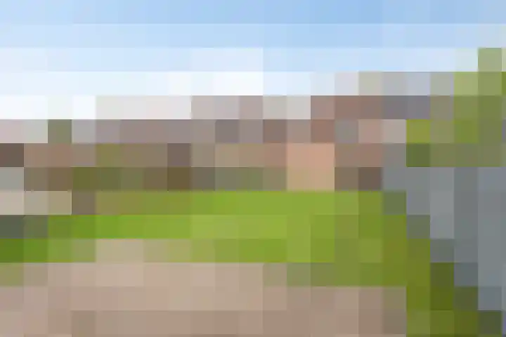 Zwarte Graaf 38 Doenrade thumbnail 42