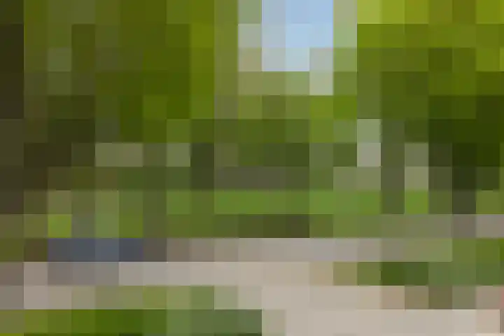 Zwarte Graaf 38 Doenrade thumbnail 45