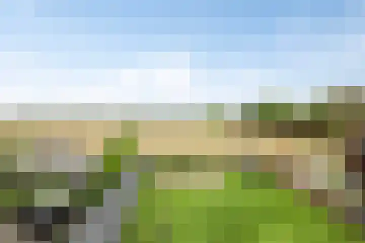 Zwarte Graaf 38 Doenrade thumbnail 46