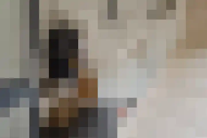 Zwarte Graaf 38 Doenrade thumbnail 5