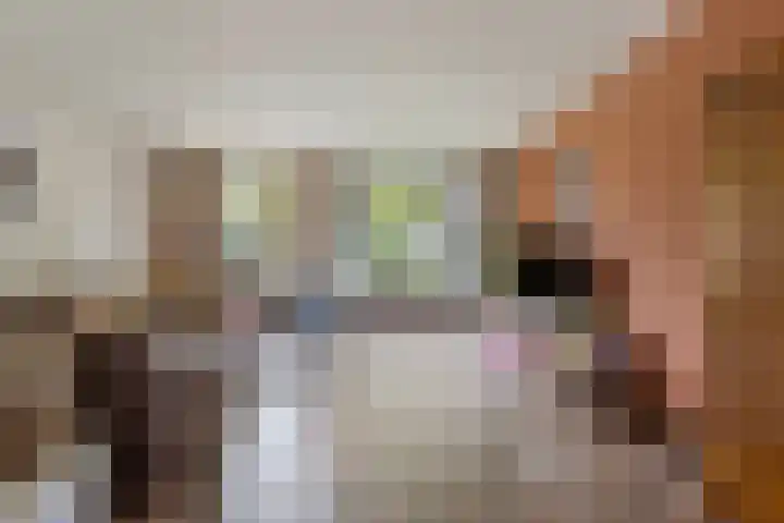 Zwarte Graaf 38 Doenrade thumbnail 8
