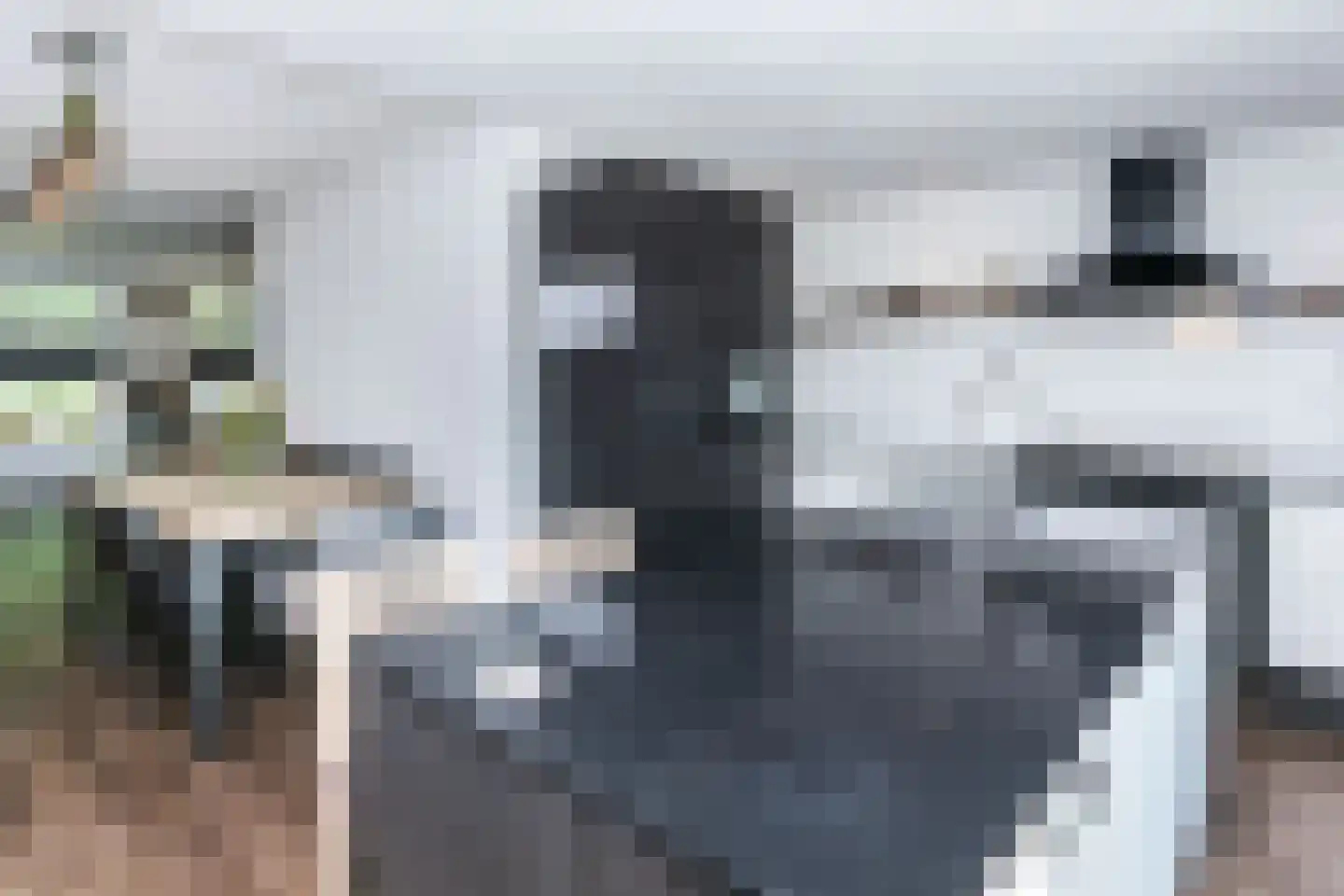 Zwarte Graaf 44 Doenrade thumbnail 10