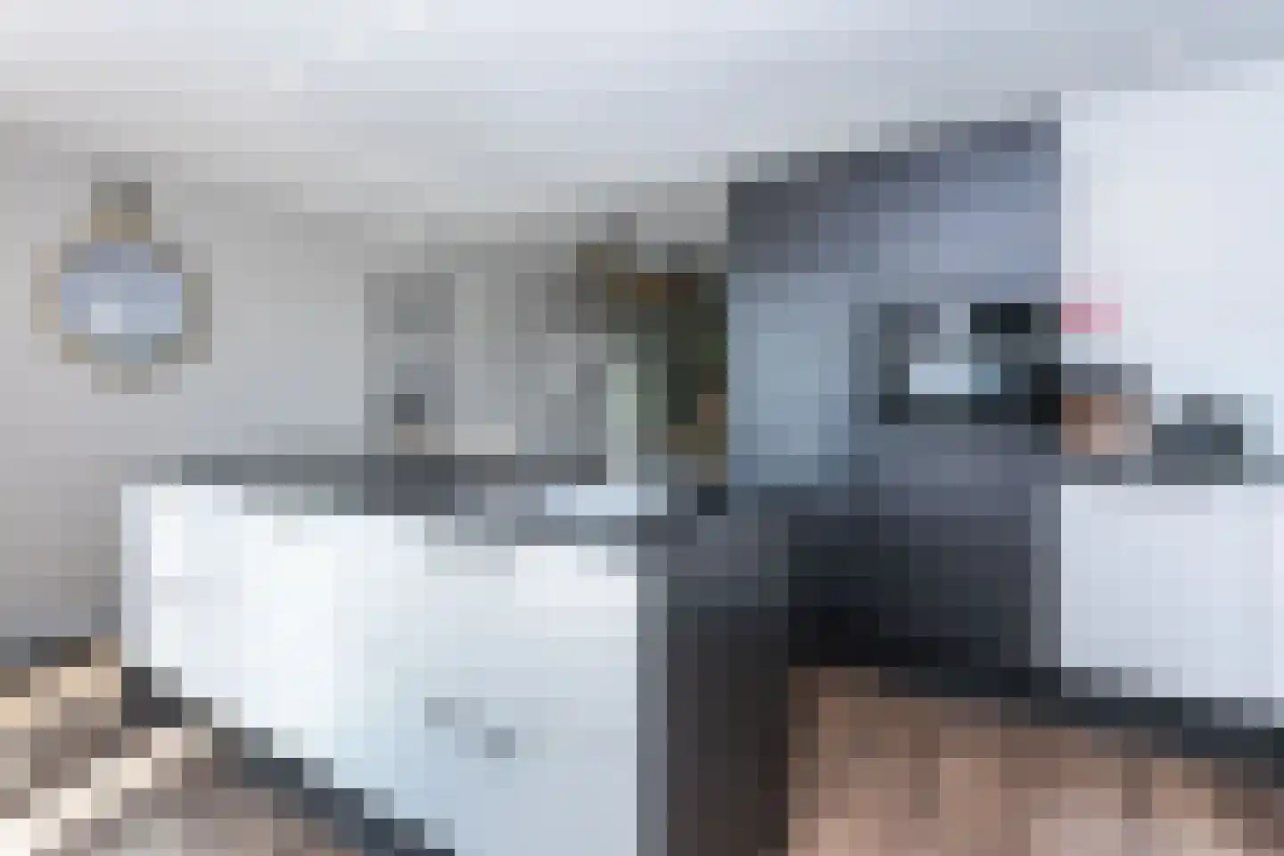 Zwarte Graaf 44 Doenrade thumbnail 11