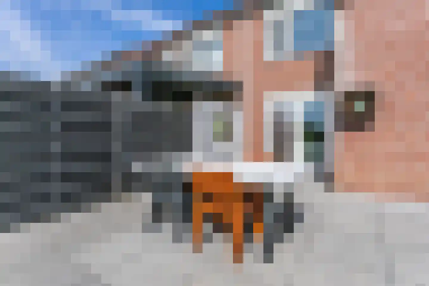 Zwarte Graaf 44 Doenrade thumbnail 41