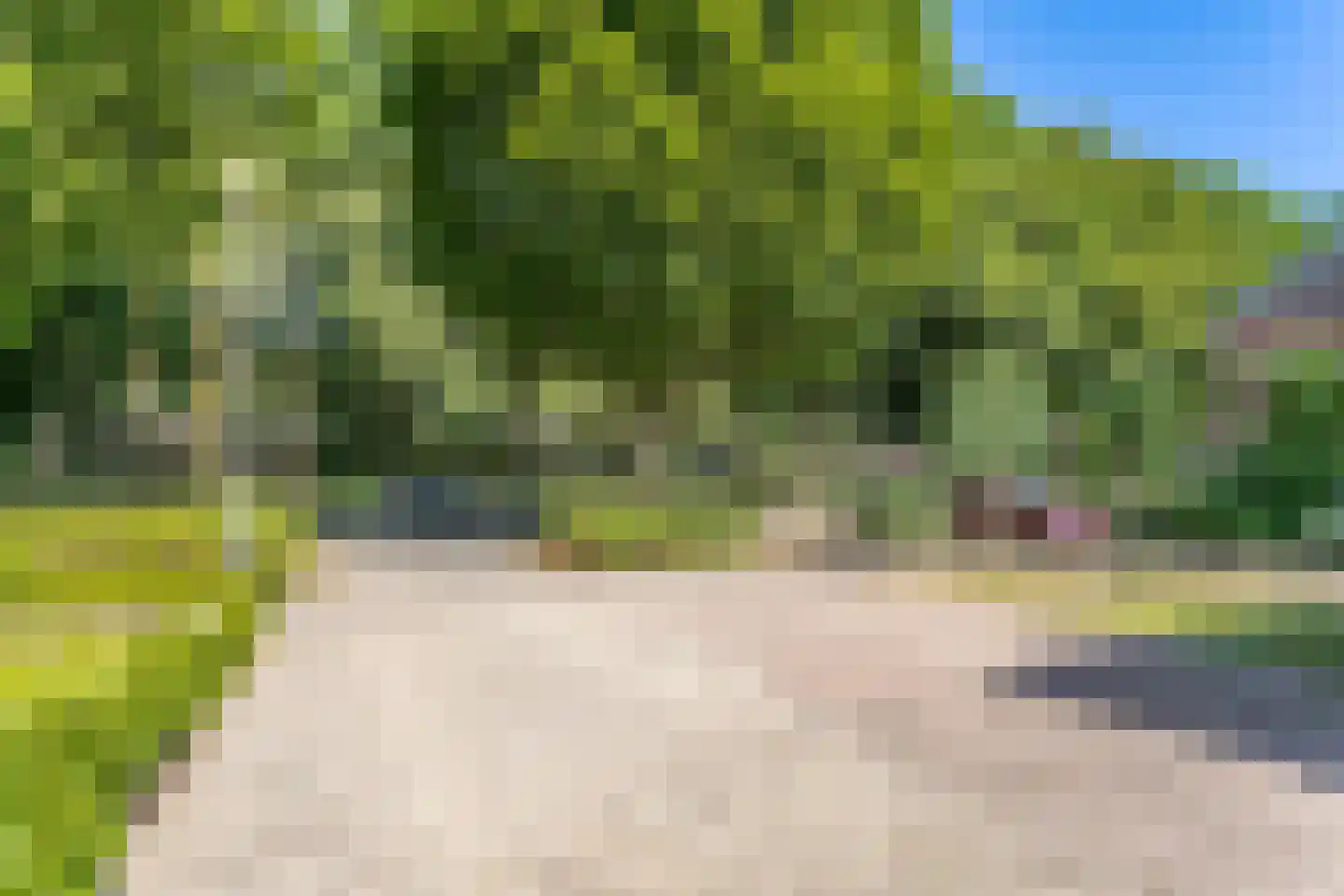 Zwarte Graaf 44 Doenrade thumbnail 52