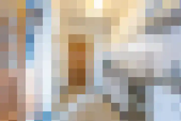 Zwarte Graaf 5 Doenrade thumbnail 12