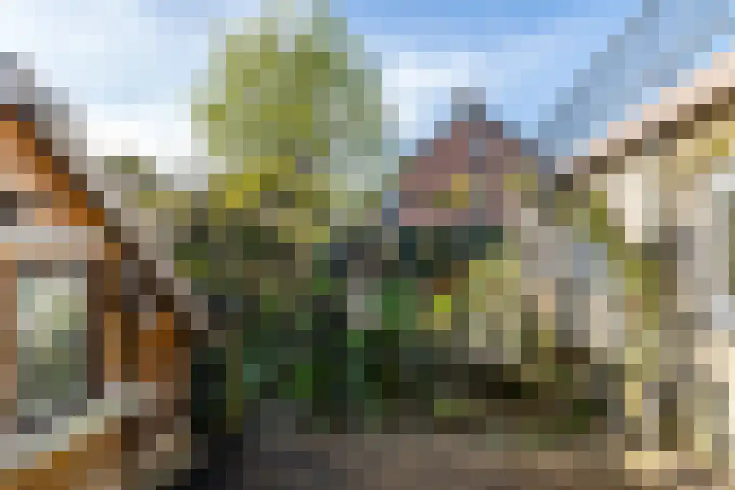 Zwarte Graaf 5 Doenrade thumbnail 26