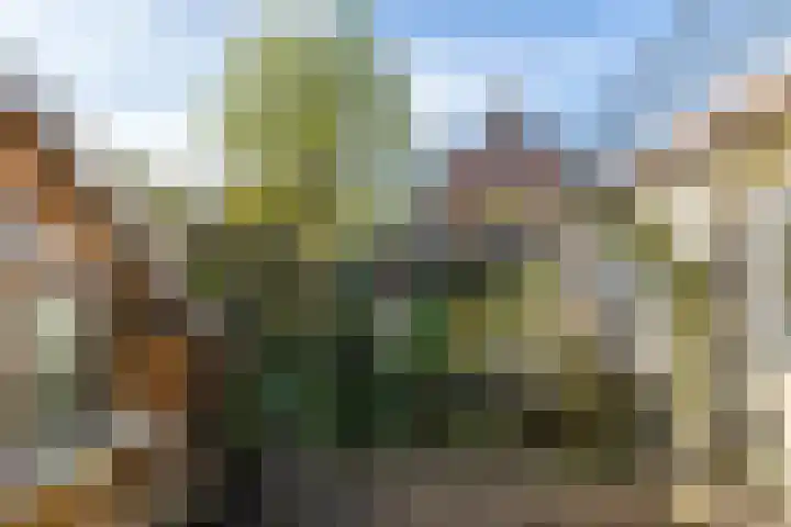 Zwarte Graaf 5 Doenrade thumbnail 26