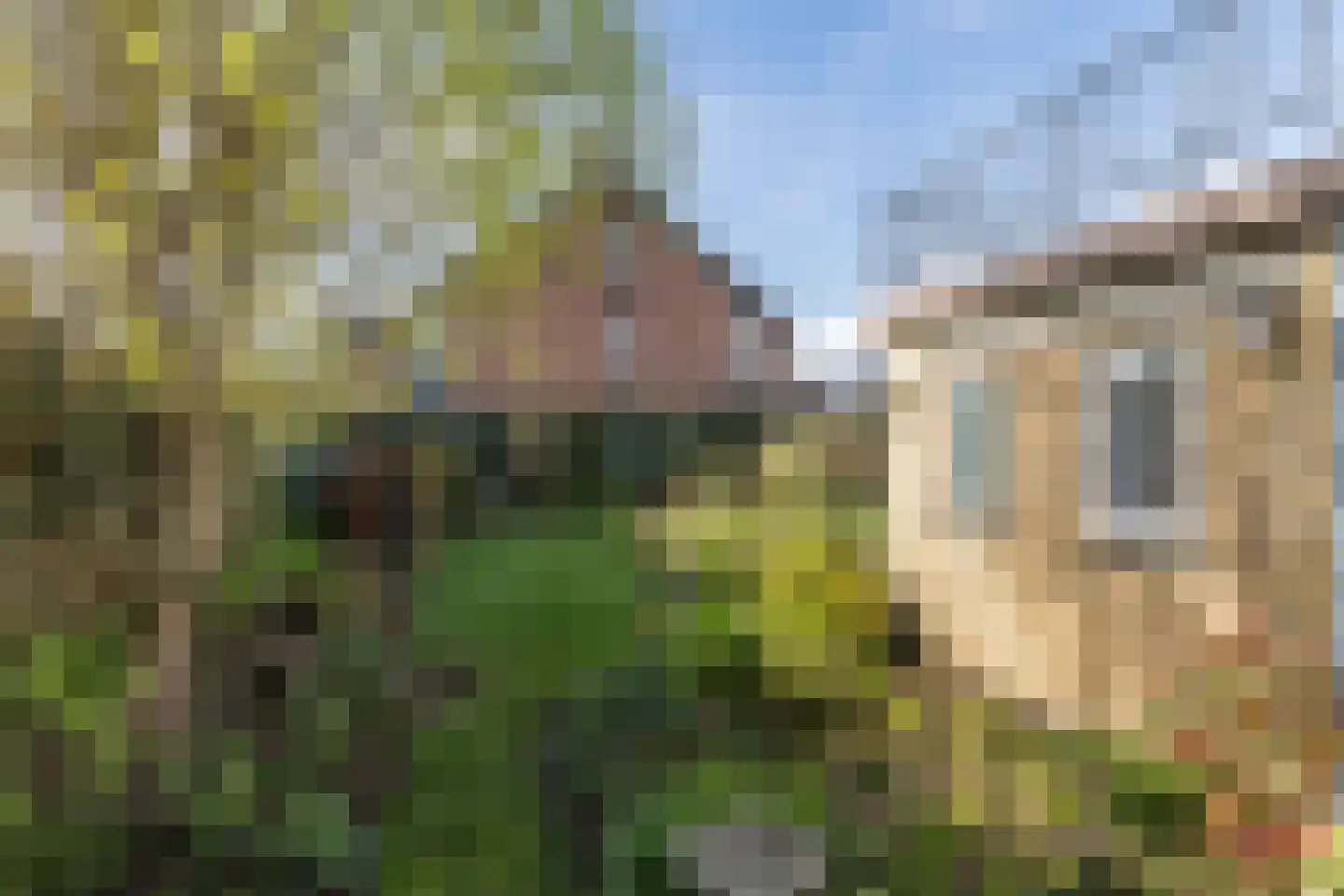 Zwarte Graaf 5 Doenrade thumbnail 27