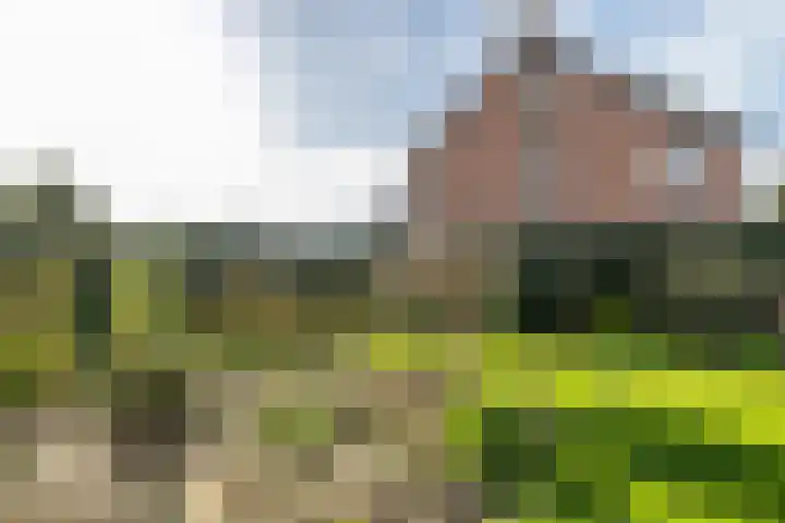 Zwarte Graaf 5 Doenrade thumbnail 30