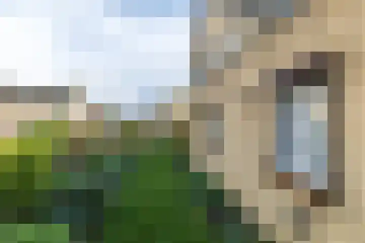 Zwarte Graaf 5 Doenrade thumbnail 32