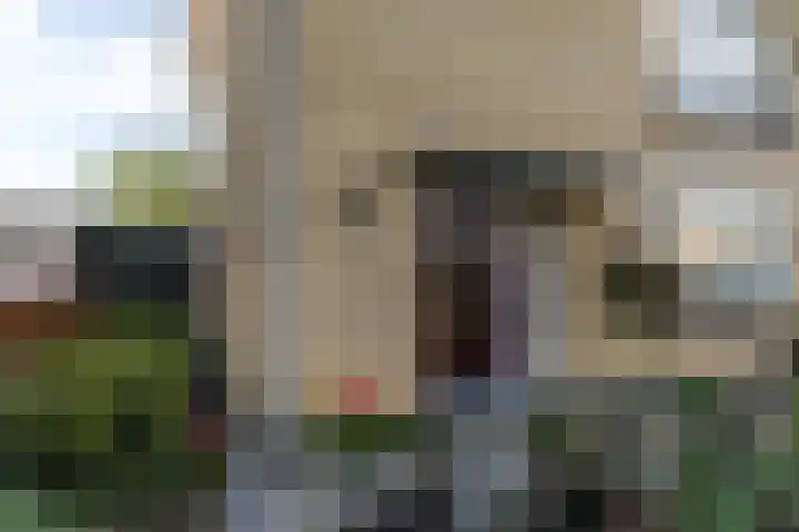 Zwarte Graaf 5 Doenrade thumbnail 35