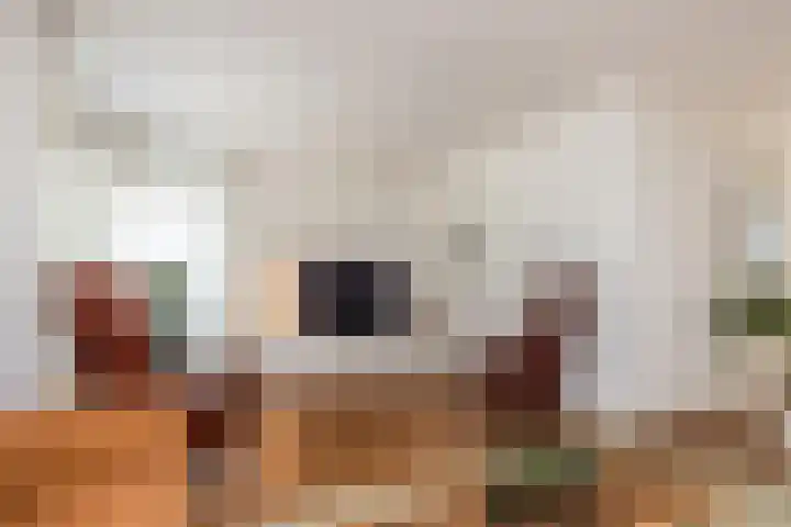 Zwarte Graaf 50 Doenrade thumbnail 10