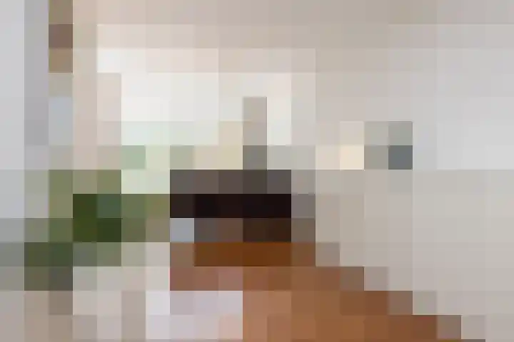 Zwarte Graaf 50 Doenrade thumbnail 13