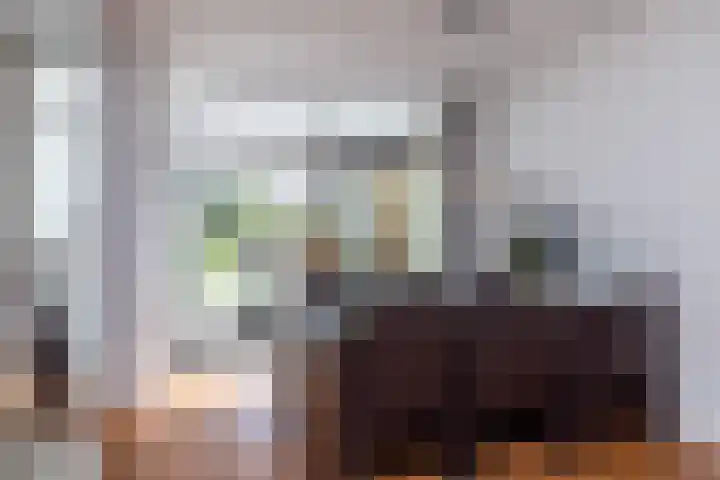 Zwarte Graaf 50 Doenrade thumbnail 15