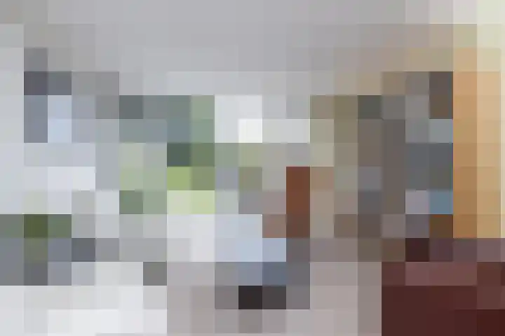Zwarte Graaf 50 Doenrade thumbnail 16