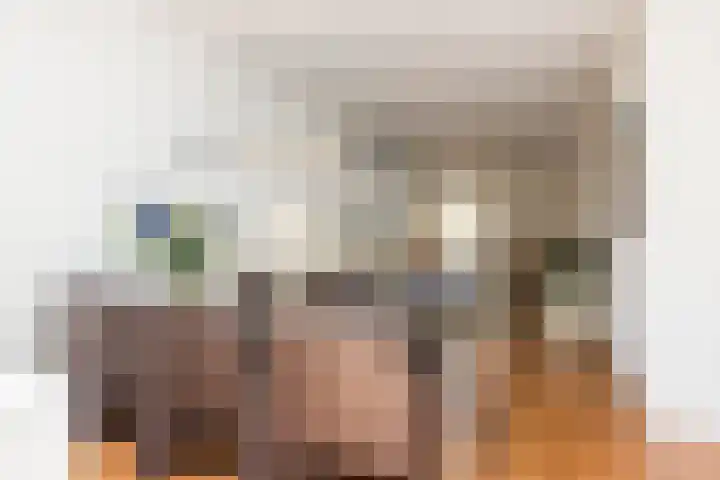 Zwarte Graaf 50 Doenrade thumbnail 19