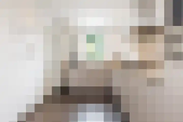 Zwarte Graaf 50 Doenrade thumbnail 22