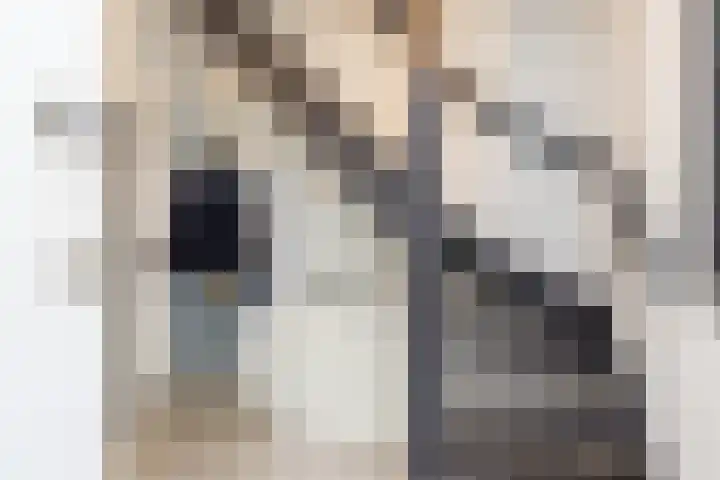 Zwarte Graaf 50 Doenrade thumbnail 28