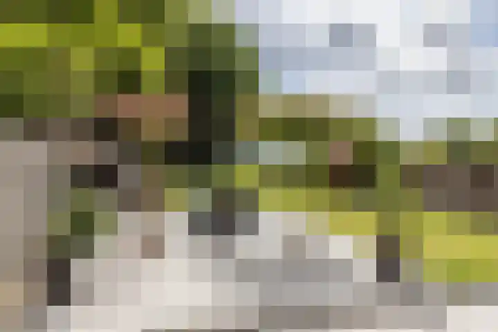 Zwarte Graaf 50 Doenrade thumbnail 43