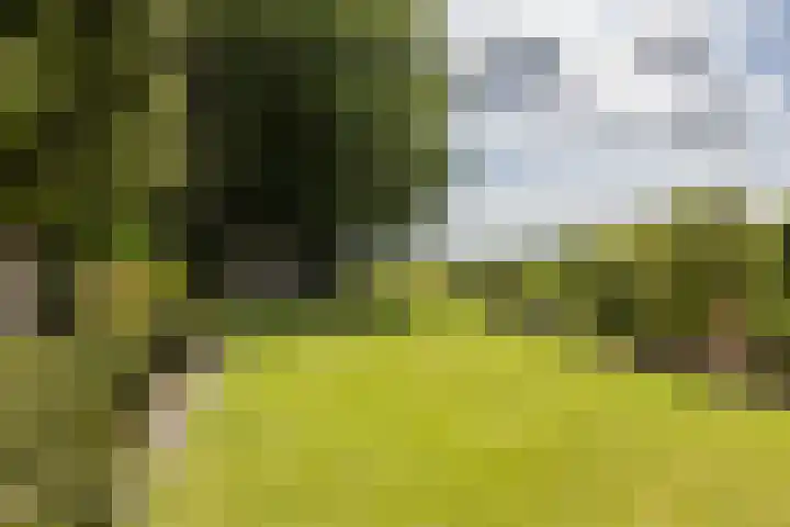 Zwarte Graaf 50 Doenrade thumbnail 44
