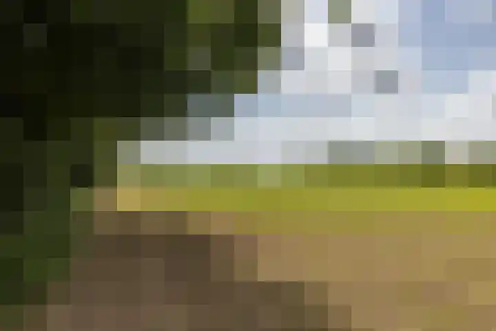 Zwarte Graaf 50 Doenrade thumbnail 45