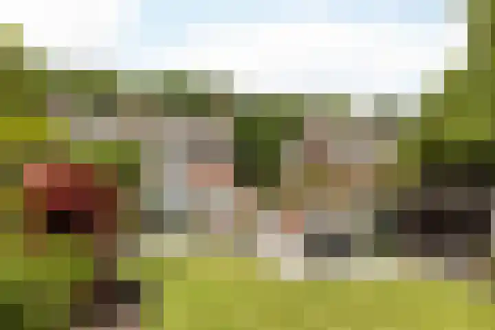 Zwarte Graaf 50 Doenrade thumbnail 46
