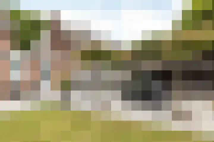 Zwarte Graaf 50 Doenrade thumbnail 48