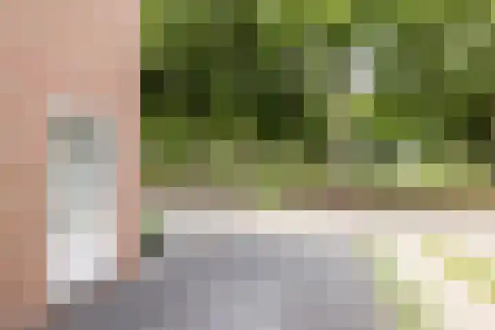 Zwarte Graaf 50 Doenrade thumbnail 49