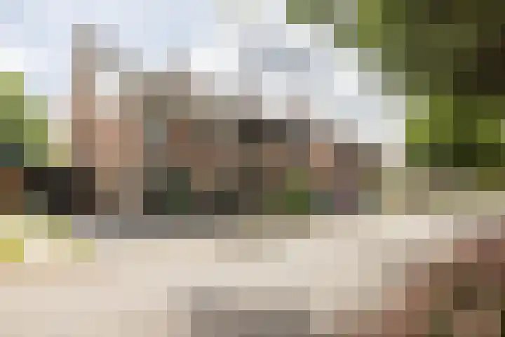 Zwarte Graaf 50 Doenrade thumbnail 51