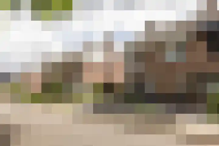 Zwarte Graaf 50 Doenrade thumbnail 52
