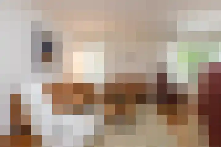 Zwarte Graaf 50 Doenrade thumbnail 8