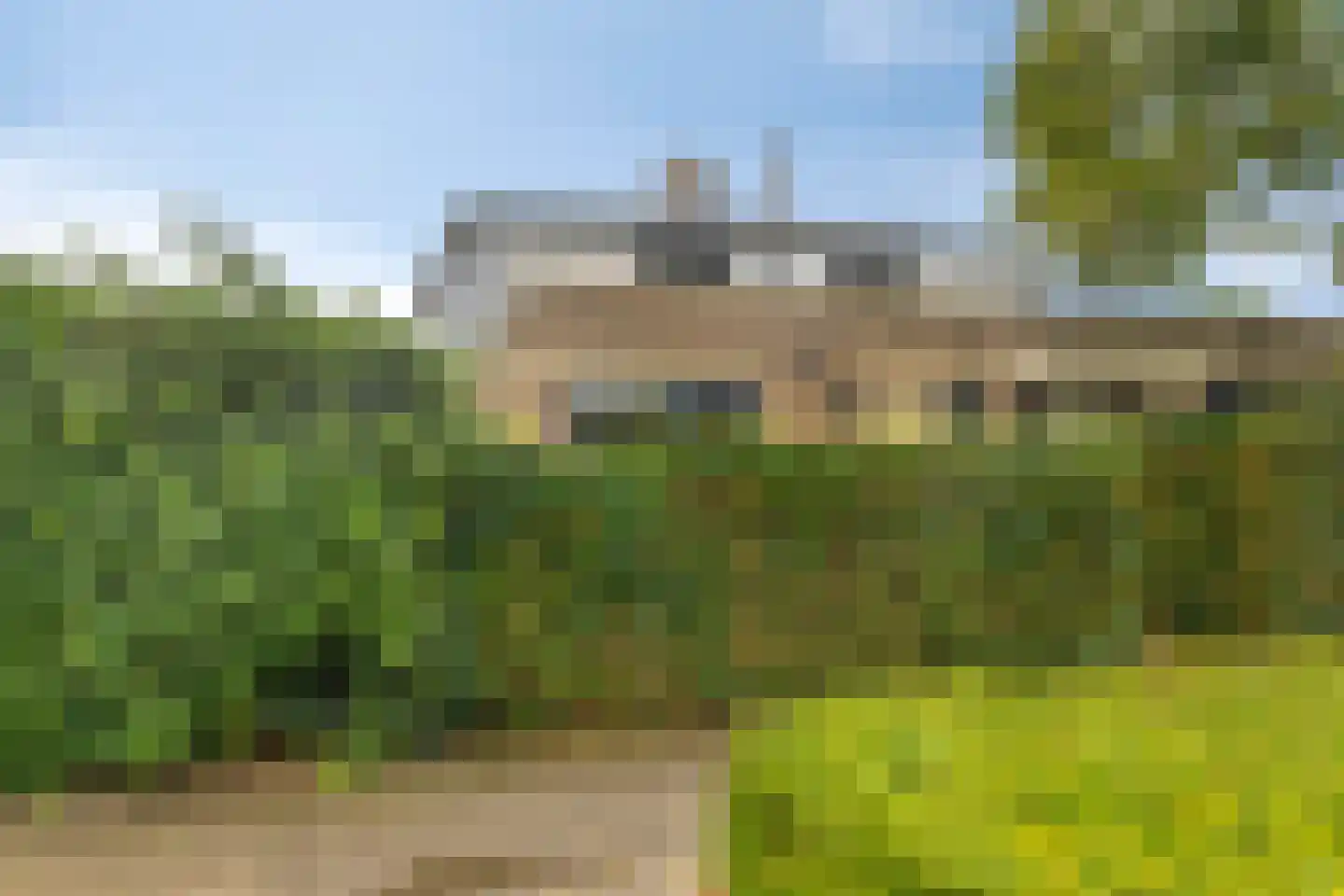 Zwarte Kaaiman 36 Heerhugowaard thumbnail 25