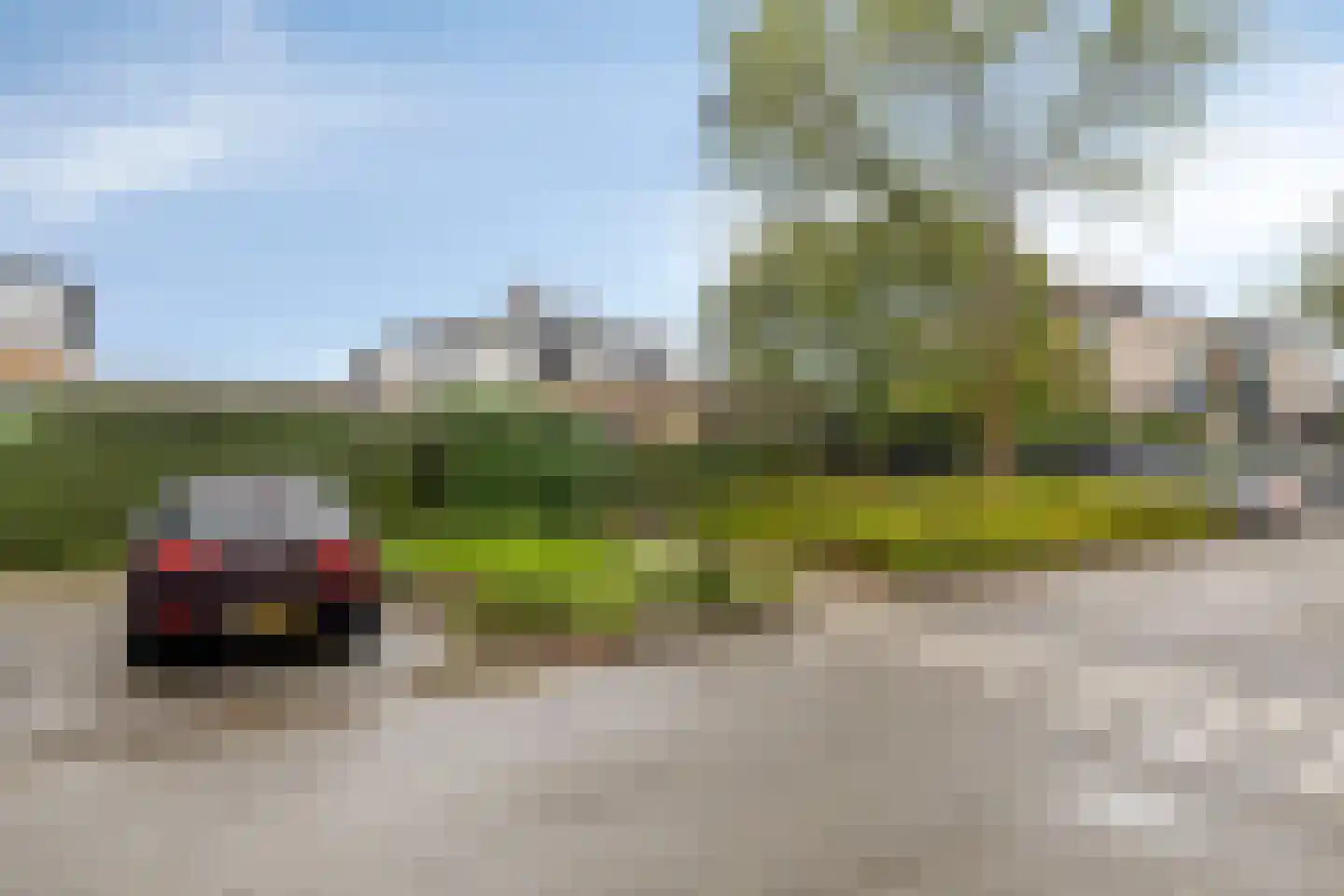 Zwarte Kaaiman 36 Heerhugowaard thumbnail 30