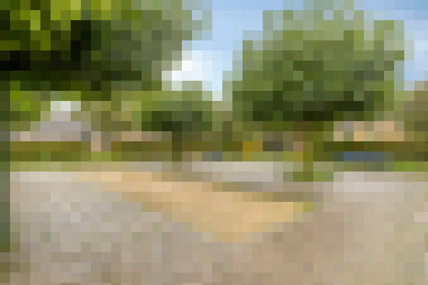 Zwarte Kaaiman 36 Heerhugowaard thumbnail 31