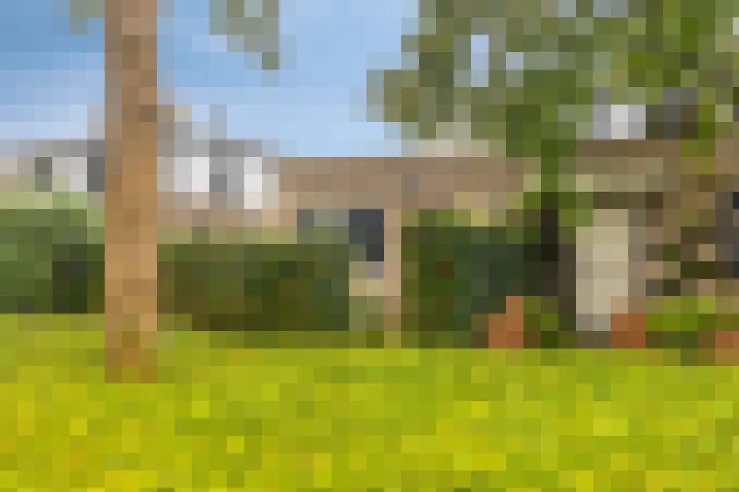 Zwarte Kaaiman 36 Heerhugowaard thumbnail 5