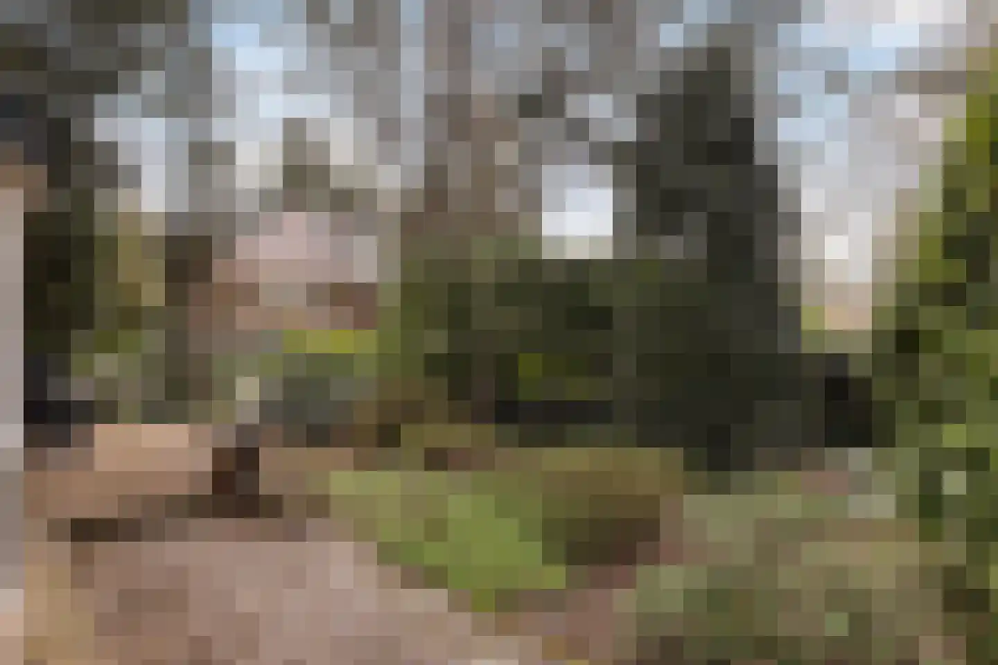 Zwarte Kijkerweg 39 Apeldoorn thumbnail 37