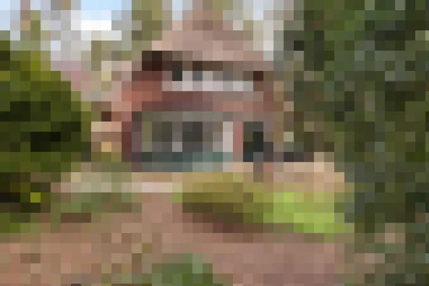 Zwarte Kijkerweg 39 Apeldoorn thumbnail 38