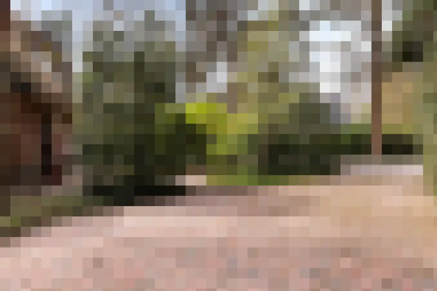 Zwarte Kijkerweg 39 Apeldoorn thumbnail 41