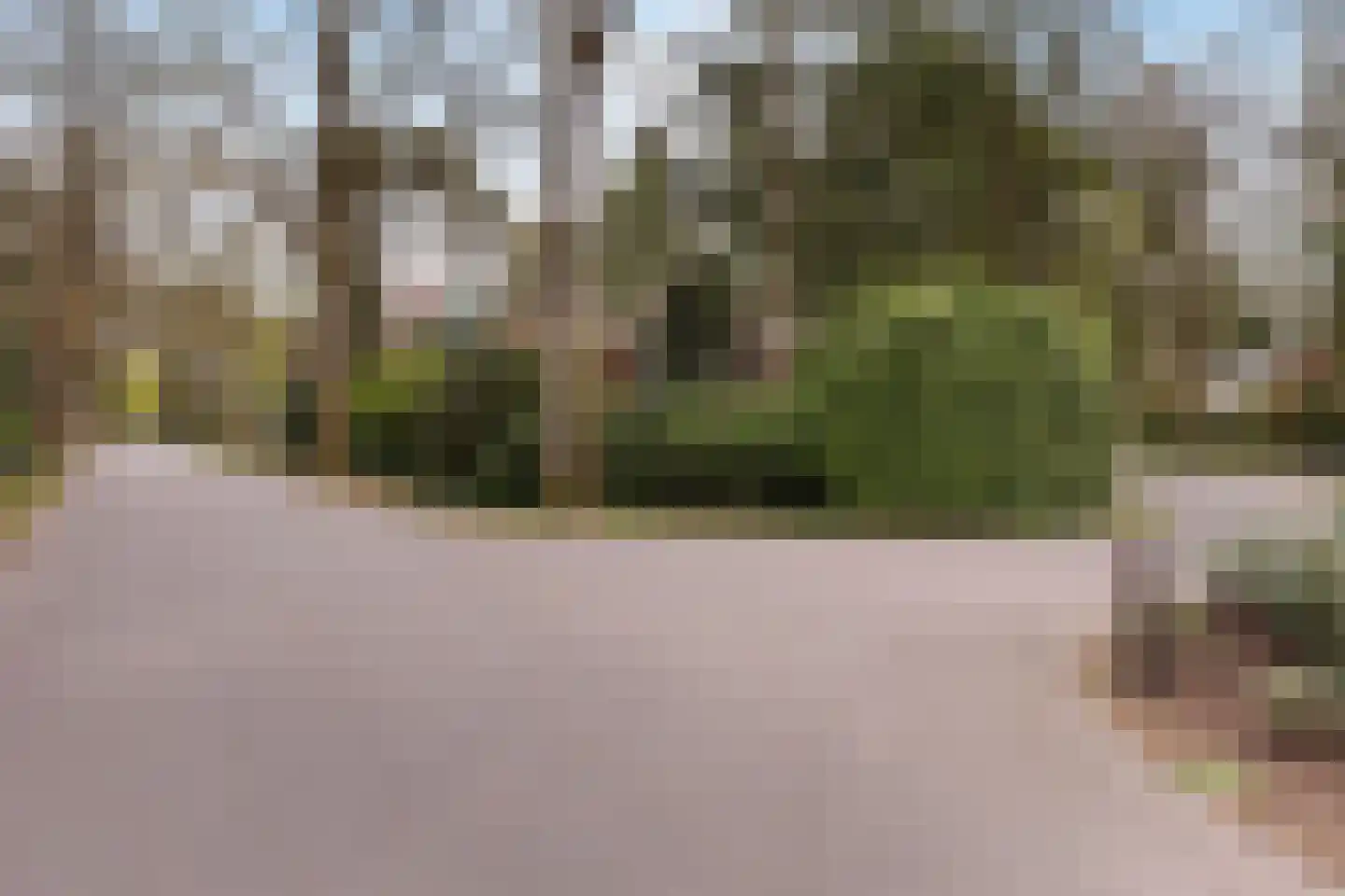 Zwarte Kijkerweg 39 Apeldoorn thumbnail 42