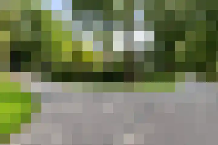 Zwarte Kijkerweg 47 Apeldoorn thumbnail 6