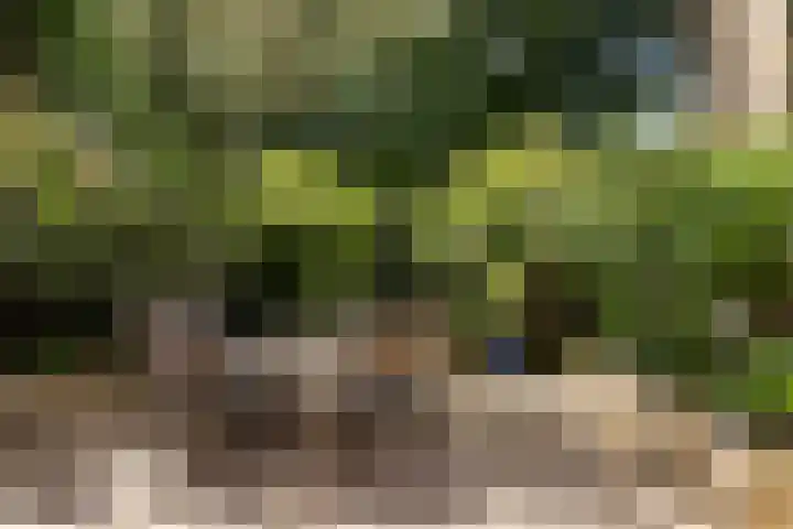 Zwarte Kijkerweg 47 Apeldoorn thumbnail 64